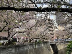 池尻大橋駅出てしばらく歩いたら左手に桜並木発見
せっかくなのでそちらの道を歩く事に
もしかしてと思ったら目黒川でした、こんなところを流れてたのねぇ