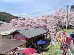 高遠さくら祭り