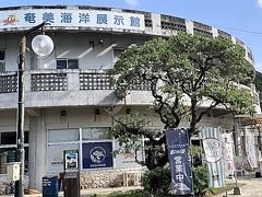 奄美海洋展示館