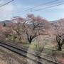 諏訪から桜満開松本のいい宿いい飯と温泉18切符で1泊1.5日ツアー