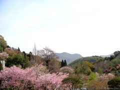 竹林寺を出ますが、時刻はまだ午前11時過ぎ。
この後ランチに、三翠園での温泉を計画していますが、帰りの飛行機は18時過ぎ。まだ時間があります。

目の前にはお隣の牧野植物園の美しい景色が広がります。
高齢の家族のことを考えて、五台山では竹林寺のみの予定でしたが、家族はまだ歩けるし、牧野植物園も行ってみたいとのことでgo！