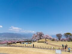 岡銚子塚古墳の上から。
もうひとつの「盃塚古墳（さかづきづかこふん）」が見えます。
そのはるか向こうは八ヶ岳らしいです。