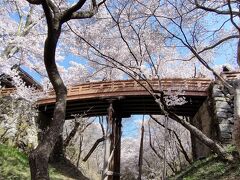 桜雲橋の桜です。
花見客の渋滞が起きていました。