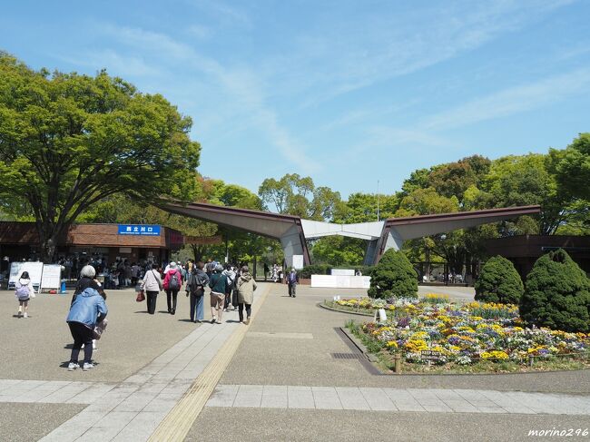 2023 チューリップと桜の饗宴＠昭和記念公園』立川(東京)の旅行記