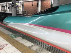 色々な電車を認識してきて、新幹線も大好きな息子に近くで新幹線を見せよう！！と上野駅にやってきました。
入場券購入してホームで新幹線を楽しみます♪

Ｅ５系はやぶさです。おおー！！
はやぶさと呼ばれることが多い気がしますが、はやて、やまびこもこの車両なんですねー。
息子が生まれてから電車と車に詳しくなりました笑