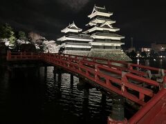 松本城 夜桜会