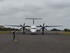 乗る飛行機がやって来た。