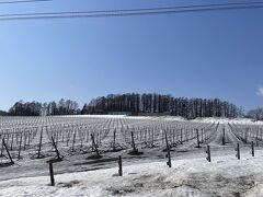 余市駅まで、途中旧竹鶴邸の前を通ったりしてもらって