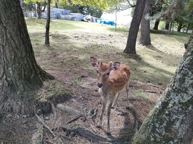 早速探す探す<br /><br />いた～！！！<br /><br />ただいま、おかえり