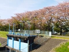 そしてまたピューンと走って。
この辺りは郷土の森公園。

グラウンド付きの小学校が20個ぐらいは余裕で建てられそう。
とてつもなく広大な公園です。

ココを探索しちゃうと、たぶん半日がかり。
訪問は別の日に改めてとゆーコトで・・・
(｡ ･ω･)(｡ -ω-)ぅんぅん