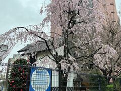 こちらの蔵のような建物は水道局の敷地内にある「蔵前水の館」という施設です。