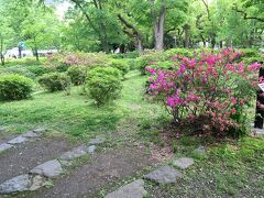 首掛けイチョウの南にツツジ山という築山があり、西の斜面から雲形池の水面が見えます。
池の周りはたくさんの緑で囲まれ、池の中には石造りの台座がありました。
