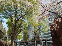 桜満開の銀座からの成田空港行きのバスで行きました
満席でした
一番安い成田空港へ行く方法がこちらだと思っています