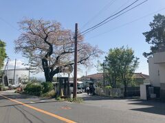 根府川駅