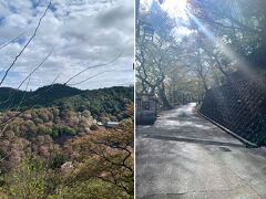 左は「花矢倉展望台」からの眺め。もう葉桜どころでもなく、すでに初夏の木々のようす。
この日は曇り予報でしたがいいお天気には恵まれました。
ただ風が強く、桜吹雪のなかのお参りでした。