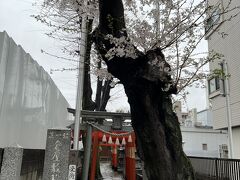 倉屋敷稲荷神社