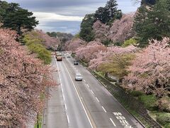 石川門からの桜のお堀通りです。
ここからバスで移動します。