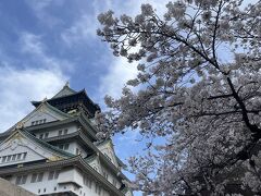 大阪城付近の桜もとても素敵でした。