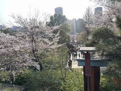 その後、上野公園の桜を見に行きました。すごい人で、疲れてしまいました。桜を楽しむのであれば、上野は落ち着かないなぁと思いました。