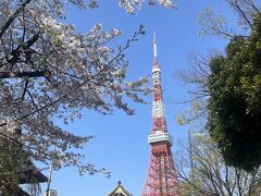 東京タワーと桜。

浜松町駅から羽田空港へ向かいました。