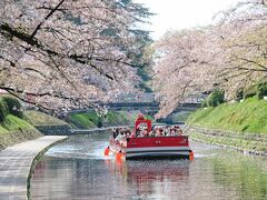 桜のトンネルをぬけてきた遊覧船☆☆