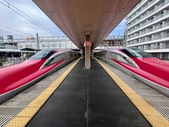 秋田駅に到着です。
両側にこまちが停車していたのでパチリ。