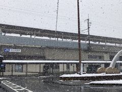 雪がわさわさ降っていました。