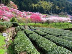 久喜の花桃