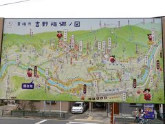 日向和田駅前の吉野梅郷 案内図