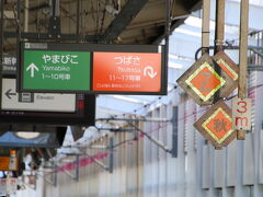 東北新幹線：はやぶさなど、座席指定が必要な路線もネットで解決。

ただし、東日本パスについてくる4回分の指定券をすべて予約してしまうと、ネット上では変更できなくなるというルールも。
