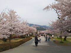 今朝ホテルを移動しました。
そこで大きなミスが発生。静鉄四条室町と静鉄烏丸御池は1駅違いで同じ系列のホテルです。タクシーの運転手さんにホテル名を伝えたところ解らず、あわてて住所を調べて伝えたところ、住所を間違えて伝えてしまい、違うホテルの付近に到着してしまいました。でもこの間違いは良くある見たいで、チェックアウトの時に同じ間違いをしている人に遭遇しました。
<教訓>
タクシーを利用する時は、ホテル名で解らない時に備えて、住所も用意しておく。
