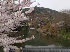 烏丸から阪急で嵐山に行くと嵐山公園側に出るので阪急で行くことにしました。
桂川にかかる中の島橋は撮影で使われ見たいです。