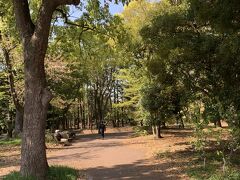 清澄公園は広くて緑も多くお散歩に最適。