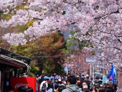 先ほどのレストランに戻り再びバスに乗って哲学の道とインクラインを目指します。でも、そこを端から端まで歩くと大変な距離になります。そこで途中でバスを降り、哲学の道は南側の1/4程度を歩きます。