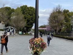 上野公園は今年開園150年になるようですね。
歴史のある公園です。