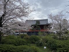 清水観音堂と桜。