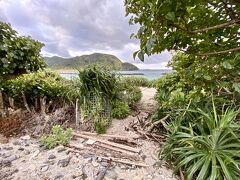 【慶良間諸島／阿嘉島（アカシマ）の様子】

写真は、ホテルの前にある「前浜ビーチ」。

