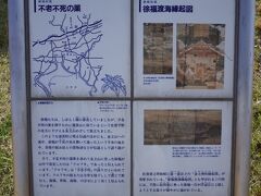 徐福伝説の続き
金立山まで千反の布を敷いて歩いて行ったとか(地名｢千布｣の由来)、道中に茶屋の娘お辰と恋に落ちたとか、金立山で見つけた仙薬はクロフキ(黒蕗)だった等です。
茶が伝来したのは徐福の時代の1400年後ということなど、江戸時代の庶民が知る由もありません。クロフキは漢方として胃痛腹痛のぼせ頭痛等に効能があり、不老不死が訛ったものというこじつけと合わせて、なかなかのセンスです。