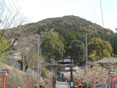 熊本県南関町の大津山阿蘇神社にやってきました。

大津山阿蘇神社…買物好きの方には、いきいき村のすぐ近くの鳥居が見える神社といえば、おわかりいただけるかも知れません。

背後に南関町のシンボル（？）大津山がある、由緒ある神社です。