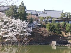 荒池から奈良ホテル