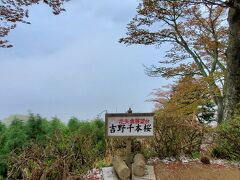 「吉野水分神社」から歩いて10分
「花矢倉展望台」に到着

この展望台からは、吉野山全体が眺められる人気のスポット・・・らしい