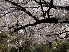 また疏水分線沿いを歩く。さすがに有名な哲学の道。両脇に所々にあるカフェやレストラン等は満席かつ、並んでいるのでパス。