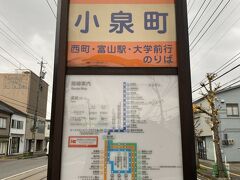 仕方なく、そのまま富山駅まで戻ります...
何しに来たのやら