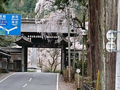 中部横断自動車道を中富ICで降り富士川沿いに進んで行き、見延を目指すと、いきなり門がありました。