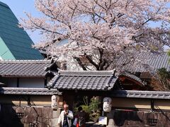 でも、ここは「順正」という文字が見えたので分かりました。湯豆腐で有名な南禅寺順正ですね。過去に清水の順正で昼食をいただいたことがありました。湯豆腐の他に天ぷらや田楽などもついていて、とてもおいしかった記憶があります。こんな大きな桜の木があるんですね。