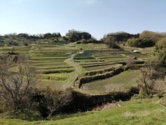 日本の原風景を思わせる棚田が広がっています。
しかし、まだ田植え前。稲が青々と茂っていればさぞかし美しい景色でしょう。