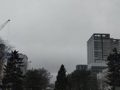 【大通公園】

どんよりした空
雨は強くはありませんが降っています。

冬に来たときは当然ここも積雪で真っ白。
真ん中に写っている木にはクリスマスツリーのようになっていました。

ここも初めて来た感じの景色に