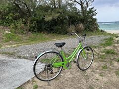 これがレンタルした自転車