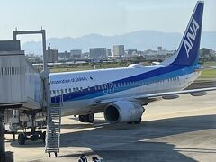 行きの飛行機はプロペラ機でしたが、帰りはＢ７３７でした。いずれも満席でした。