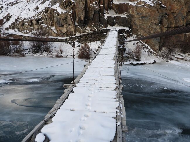 ユキヒョウの足跡があまりにも少ない。